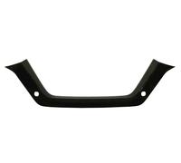 Moldura del parachoques Frontal del vehículo 5513-00-16839212P BLIC