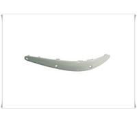 Moldura Izquierda Agujeros Pdc Parachoques Delantero Mercedes Clase E 211 2002-