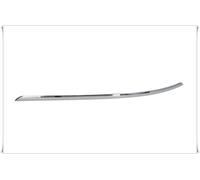 Moldura Izquierda Parachoques Trasero Adecuado A Mercedes W246 2011- >