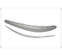 Moldura Izquierda Perfil Parachoques Delantero Mercedes 211 2002- >