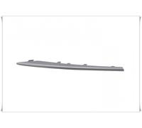 Moldura Parachoques Delantero Derecho Gris Adecuado BMW X5 E70 01/ 2007- >511171