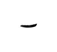 Moldura parachoques delantero izquierdo para Peugeot 307 2001-2005 iniciador
