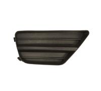 Moldura Protectora/decorativa, parachoques BLIC 5410-01-2532908PP derecha