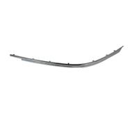 Moldura Protectora/decorativa, parachoques BLIC 5703-05-00659281P derecha