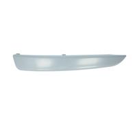 Moldura Protectora/decorativa, parachoques BLIC 5703-05-5063921P izquierda