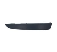 Moldura Protectora/decorativa, parachoques BLIC 5703-05-5063922P derecha