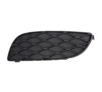 Moldura Protectora/decorativa, parachoques BLIC 6502-07-8109915P izquierda