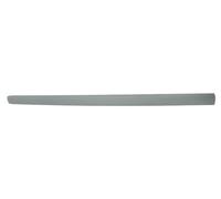 Moldura Puerta Delantero Izquierdo para : VW Polo IV 9N, 9N3 5D 10.01-11.09