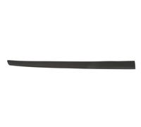 Moldura Puerta Delantero Izquierdo Se Adapta A: Ford Fiesta V 5D 03.05-06.08
