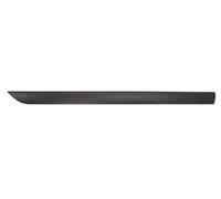 Moldura Puerta Delantero Izquierdo Se Adapta A: Ford Focus 4/5D 10.98-11.04