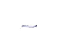 Moldura SX del. para Clase C w203 2000-2007 Agujeros Perfil Crom A2038851721