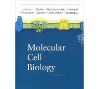 Molecular Cell Biology: 5th Edition