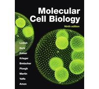 Molecular Cell Biology (International Edition)