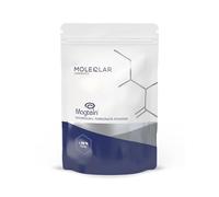 MoleQlar Magnesio L-treonato en polvo 120 gramos - Materia prima de la marca Magtein - Aprobado por la EFSA - 150 mg de magnesio por porción - Pack de 60 días