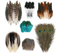 MOLIMOLI 70 Plumas de Colores para Manualidades, Plumas Naturales de Pavo Real y Avestruz para Hacer atrapasueños, Disfraces, máscaras y decoración (7 Estilos)
