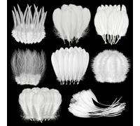 Molirex 160 Plumas Blancas para Manualidades, 8 Estilos Plumas Naturales, Plumas Decoracion para DIY Atrapasueños Boda Fiesta Decoración, Blancas