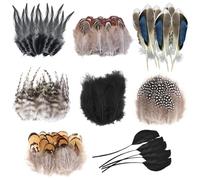 Molirex 160 Plumas para Manualidades, 8 Estilos Plumas Naturales, Plumas Decoracion para DIY Atrapasueños Boda Fiesta Decoración, Marrón & Negro