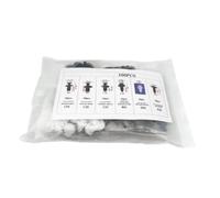 Moliuoly Juego de 100 clips de fijación de nailon para parachoques, retenedores, compatibles con varios modelos de coche