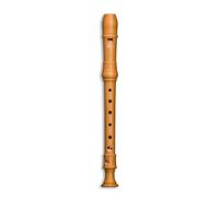 Mollenhauer 5006 Denner Sopranino