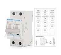 MOLLOM 2P CC Disyuntor Miniatura,500V 20A(C20),MCB personalizado con visualización de escena,disparo térmico-magnético,6KA.Interruptor de desconexión CC para sistema fotovoltaico solar