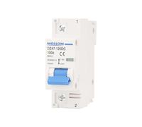 MOLLOM Disyuntor Miniatura 2P CC 250V 100A Curva C100