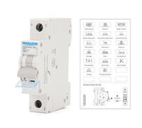 MOLLOM Disyuntor Miniatura 2P CC 250V 63A Curva C63