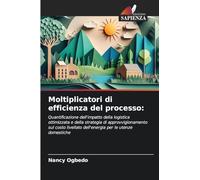 Moltiplicatori di efficienza del processo: Quantificazione dell'impatto della logistica ottimizzata e della strategia di approvvigionamento sul costo livellato dell'energia per le utenze domestiche