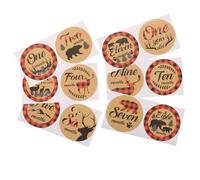 MOLUCKFU 12piezas Pegatinas Mensuales para Recién Nacidos Tarjetas Adhesivas Únicas para Fotos