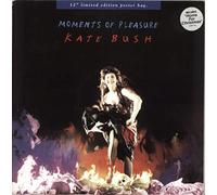 Moment Of Pleasure - Poster Sleeve