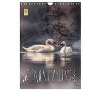 Moment Zauber (Wandkalender 2026 DIN A4 hoch), CALVENDO Monatskalender: Balsam für die Seele ... nimm dir Zeit und genieße den Moment ...