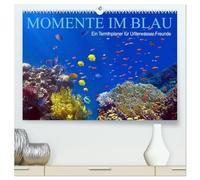 Momente im Blau - Ein Terminplaner für Unterwasser-Freunde (hochwertiger Premium Wandkalender 2026 DIN A2 quer), Kunstdruck in Hochglanz: Das Leben im Meer entdecken