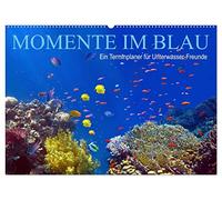 Momente im Blau - Ein Terminplaner für Unterwasser-Freunde (Wandkalender 2026 DIN A2 quer), CALVENDO Monatskalender: Das Leben im Meer entdecken