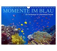 Momente im Blau - Ein Terminplaner für Unterwasser-Freunde (Wandkalender 2026 DIN A4 quer), CALVENDO Monatskalender: Das Leben im Meer entdecken
