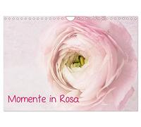 Momente in Rosa (Wandkalender 2026 DIN A4 quer), CALVENDO Monatskalender: Alles in Rosa, Florales, Stillleben, Meditation...Wellness für die Seele