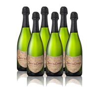 Momentos Santiamen Cava Juve Camps Reserva Familia Brut Nature de 75 cl - D.O. Cava - Bodegas Juve y Camps (Pack de 6 botellas)