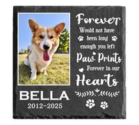 MOMGEGE Lápida Conmemorativa para Mascotas Personalizada, lápida Conmemorativa para Mascotas o Recuerdo de jardín por la pérdida de una Mascota (H, 15 * 15cm)