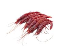 MOMO - Pescadería Premium - 1 kg -Pescado y Marisco Fresco de Lonja (1 kg, MOMO)