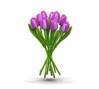 MomoMoments Ramo de Tulipanes de Madera Violeta, 9 Tulipanes Artificiales Pintados a Mano, 34 cm de Altura, Ramo, decoración, Regalo, Made in Holland