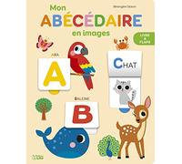 Mon abécédaire en images
