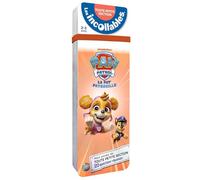 Mon année de toute petite section avec la Pat' Patrouille: 120 questions-réponses