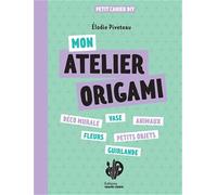 Mon atelier origami: 12 modèles variés