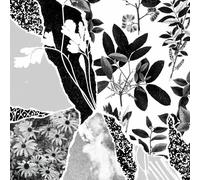 Mon Herbier Du Monde Entier [Vinilo]