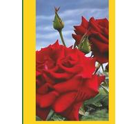 Mon Journal: Pour ceux qui aiment le Burkina Faso et sa culture.