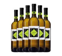 Moncaro Terre Cortesi Classico Verdicchio Verdicchio dei Castelli di Jesi 75 cl Vino blanco (Caja de 6 Botellas de 75 cl)