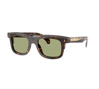 Moncler Unisex Sunglass ME6004 Claro - Color del Marco: Carey Marrón, Color de la Lente: Verde