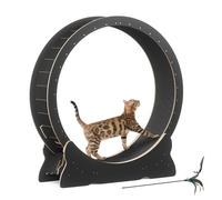 Mondeer Rueda para Gatos, Ejercicio para Gatos de Interior con Pista alfombrada, Cinta de Correr XL de 43.3 Pulgadas con Alfombra extraíble y Juguete para Gatos, para Correr, Caminar y Entrenar