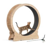 Mondeer Rueda para Gatos, Ejercicio para Gatos de Interior con Pista alfombrada, caminadora XL de 43.3 Pulgadas con Alfombra extraíble y Juguete para Gatos, para Correr y Caminar (Madera Natural)