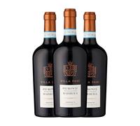 Mondo del Vino Villa Pani Appassimento Barbera Piedmont 75 cl Vino tinto (Caja de 3 Botellas de 75 cl)