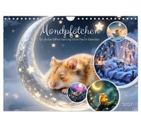 Mondpfötchen - Ein zauberhafter Hamster Gute-Nacht-Kalender (Wandkalender 2027 D