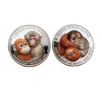 Moneda de Mono de Apoyo Emocional, Moneda de Mono para Dar Golpear, Monedas Inspiradoras con el Mensaje Un Día a la Vez, No Estás Solo/a, Regalo de Ánimo para Amigos y Familiares (03#)